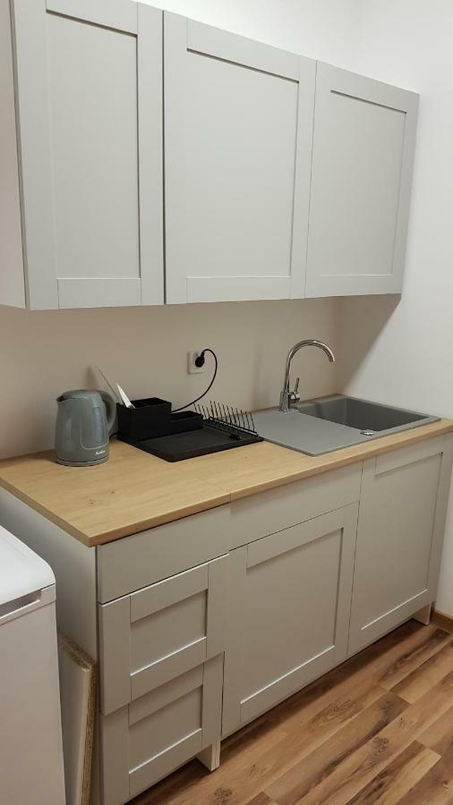 Apartament Nr 15 - 2 Pokoje Z Prywatnymi Lazienkami Centrum Πόζναν Εξωτερικό φωτογραφία